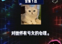 吃瓜 娱乐新闻在线观看,吃瓜娱乐新闻，在线观看最新热点