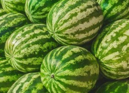 娱乐吃瓜素材在哪找,海量吃瓜素材，一网打尽！